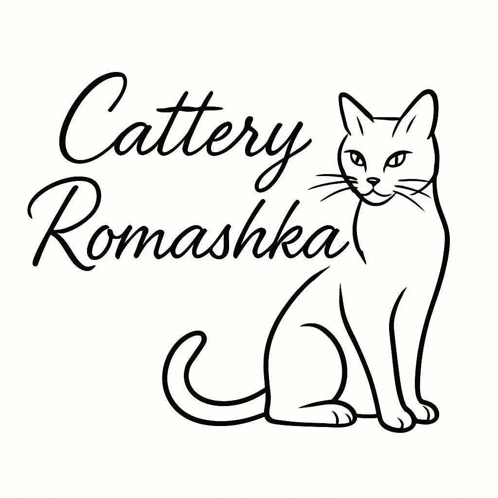 Cattery Romashka